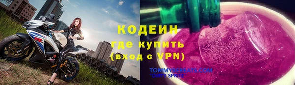 ECSTASY Алзамай