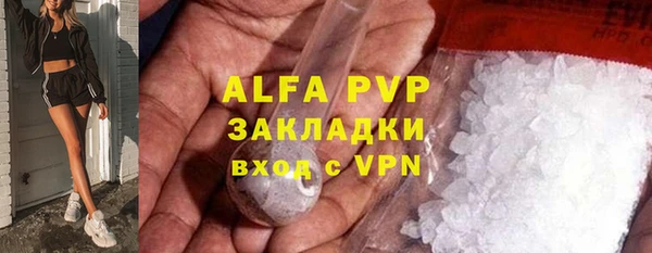 ECSTASY Алзамай