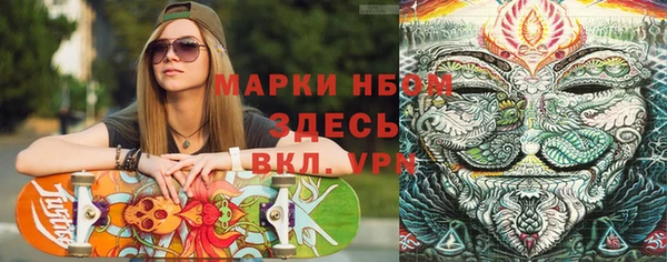 ECSTASY Алзамай
