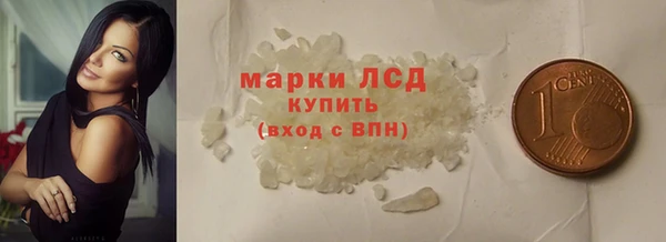 ECSTASY Алзамай