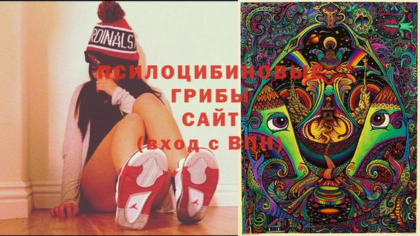 тгк Алексин